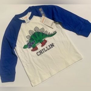 Gymboree Boy Dinosaur Top Size: 18-24months